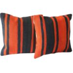 Bold-Pillows-with-Stripes - A Pair 1