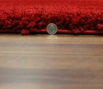 Picture of Shag Rug Solid Red