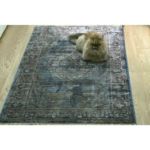 Pet friendly Rug with Distressed Blue Medallion Design. There is a cat on the rug.